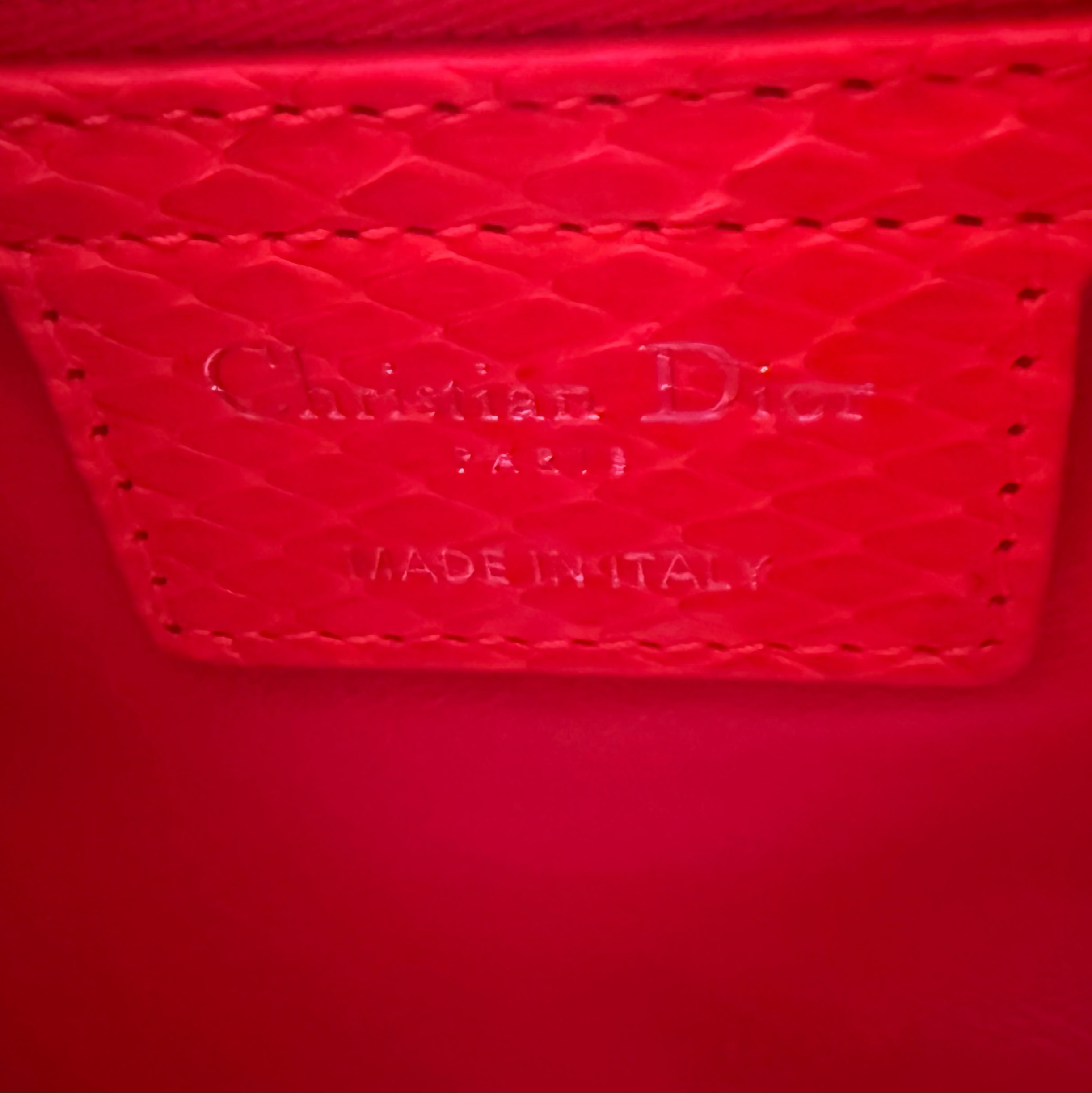 CHRISTIAN DIOR - Python Large Lady Dior